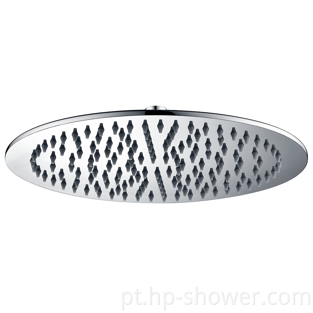 Polish Shower Head